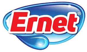 Ernet Logo 2