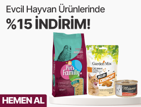 evcil hayvan