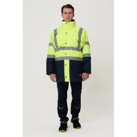 ofix-product-image-1