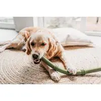 ofix-product-image-1