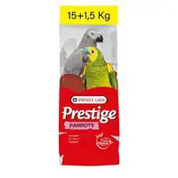 ofix-product-image-0