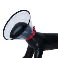 ofix-product-image-0