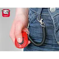 ofix-product-image-0