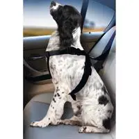 ofix-product-image-0