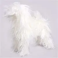 ofix-product-image-0