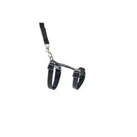 ofix-product-image-0