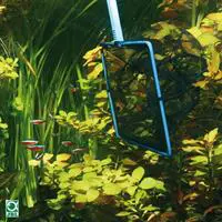 ofix-product-image-0