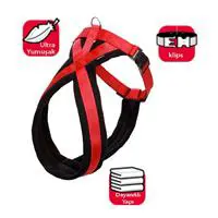 ofix-product-image-0