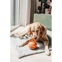 ofix-product-image-1