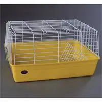 ofix-product-image-0