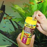 ofix-product-image-1