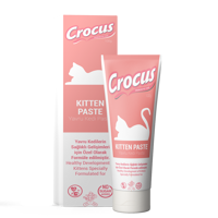 ofix-product-image-1