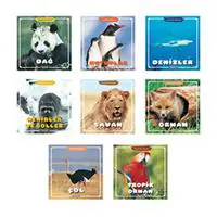 ofix-product-image-0