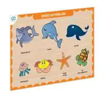 ofix-product-image-0