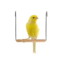 ofix-product-image-0