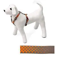 ofix-product-image-0