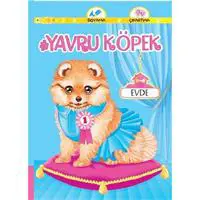 ofix-product-image-0