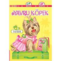 Yavru Köpek Tatilde