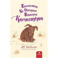 ofix-product-image-0