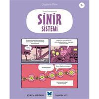 Temel Kavramlarla Sinir Sistemi