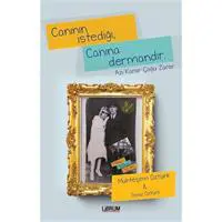 ofix-product-image-0