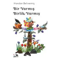 ofix-product-image-0