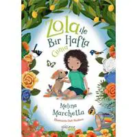 ofix-product-image-0