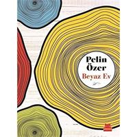 Beyaz Ev