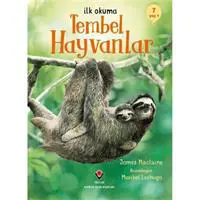 ofix-product-image-0