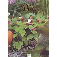 ofix-product-image-0