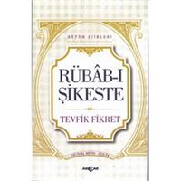 Rübab-ı Şikeste