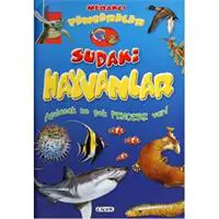 ofix-product-image-0