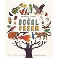 ofix-product-image-0