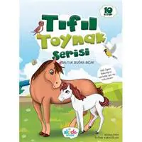 ofix-product-image-0