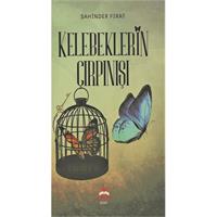 Kelebeklerin Çırpınışı