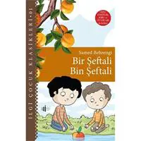 ofix-product-image-0