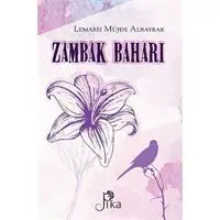 ofix-product-image-0