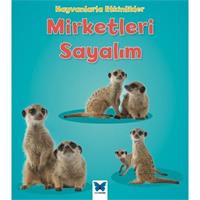 Hayvanlarla Etkinlikler - Mirketleri Sayalım