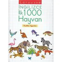 ofix-product-image-0