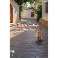 ofix-product-image-0