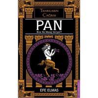 Pan Bize Ne Mesaj Veriyor?