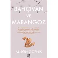 ofix-product-image-0