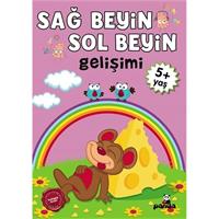 5 Yaş Sağ Beyin-Sol Beyin Gelişimi