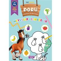 Doru Etkinlik ve Boyama  Meyveler ve Sebzeler