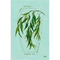 ofix-product-image-0