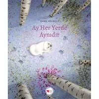 ofix-product-image-0