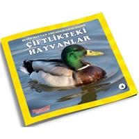 Çiftlikteki Hayvanlar - Benim Hayvan Arkadaşlarım Dizisi 4