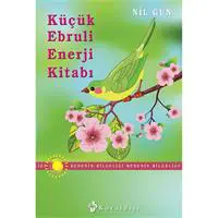 ofix-product-image-0