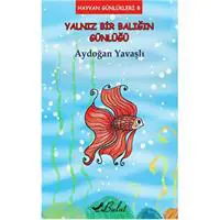 ofix-product-image-0