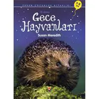 ofix-product-image-0